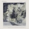 CONSTELLATIA - The Language Of Limbs - WHITE & YELLOW MARBLED LP