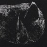 DEMON HEAD - Viscera - DARK RED BLACK MARBLED LP