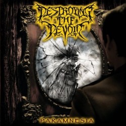 DESTROYING THE DEVOID - Paramnesia - CD
