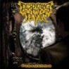 DESTROYING THE DEVOID - Paramnesia - CD