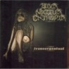 DIVA NOCTUA ENTROPIA - Transerpentual - CD