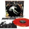 DYING FETUS - Stop at Nothing - BLOOD RED COUDY EFFECT LP