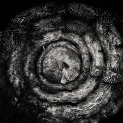 FORHIST - Forhist - LP