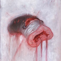 AMERICAN HERITAGE - Prolapse - LP