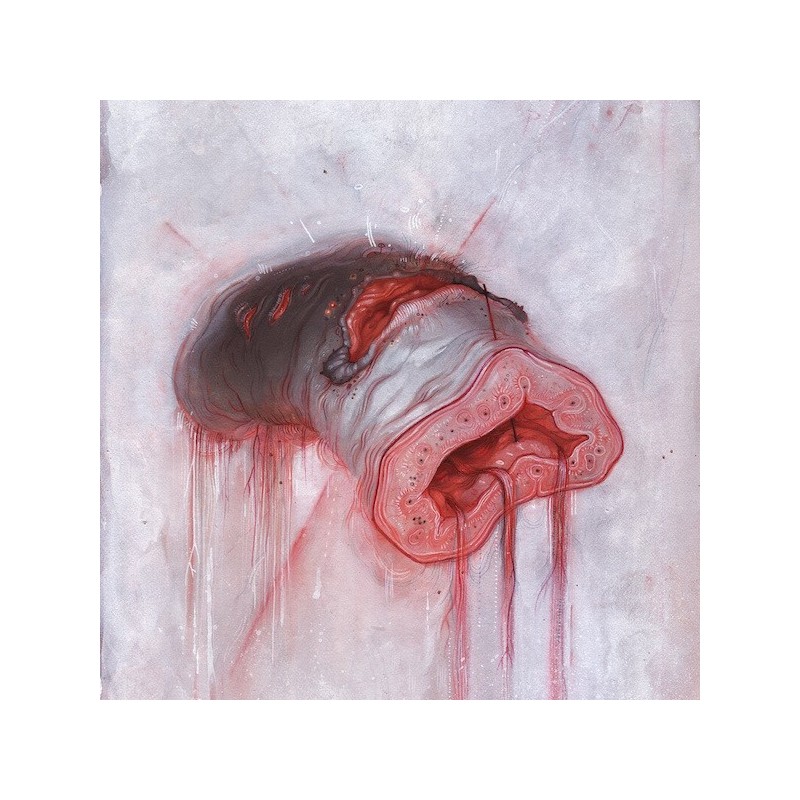 AMERICAN HERITAGE - Prolapse - LP