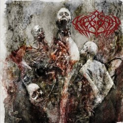 HEGONY - First Stab - CD