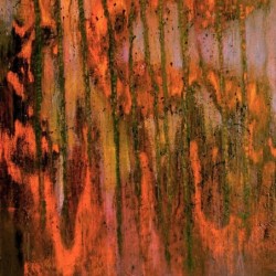 HIRVEÄ - Tuska ja pakokauhu - DIGI CD