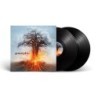AMORPHIS - Skyforger - 2LP