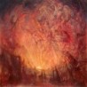 HOODED MENACE / ALGOMA - Split - LP