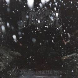 IMMORTAL - Battles In The North - DIGI CD