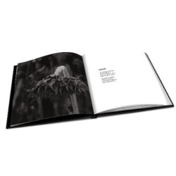IMPURE WILHELMINA - Antidote - DIGI CD