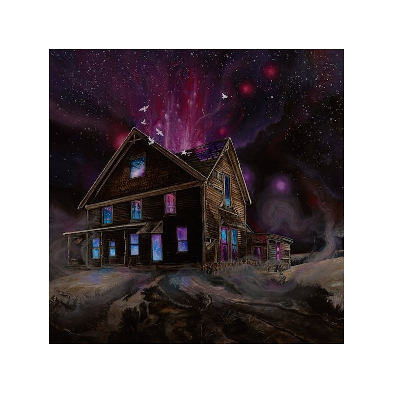 ANCESTORS - Suspended In Reflections - LP