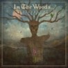 IN THE WOODS ... - Diversum - CD