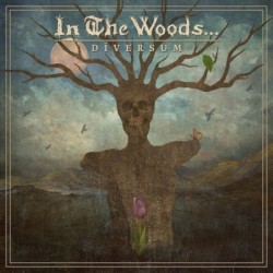 IN THE WOODS ... - Diversum - SEA BLUE LP
