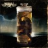 INEVITABLE END - The Severed Inception - CD