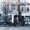 ANGEL BLAKE - The Descended - CD