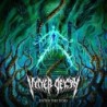 INNER DECAY - Enter The Void - CD