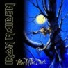 IRON MAIDEN - Fear Of The Dark - DIGI CD