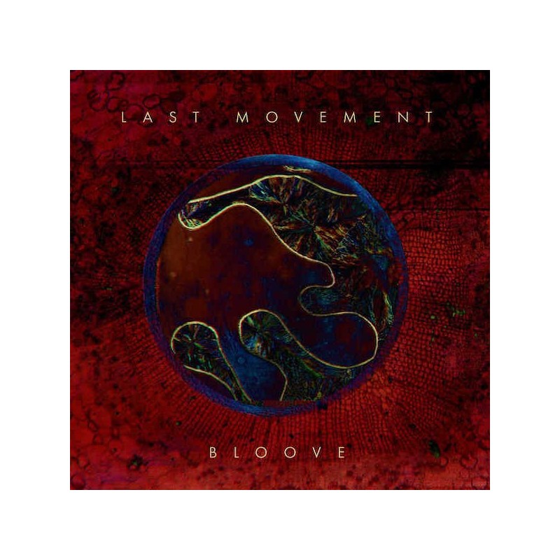 LAST MOVEMENT - Bloove - LP