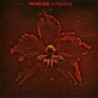 MACHINE HEAD - The Burning Red - LP