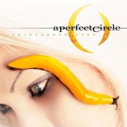 A PERFECT CIRCLE - Thirteenth Step - 2LP