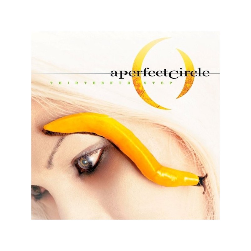 A PERFECT CIRCLE - Thirteenth Step - 2LP