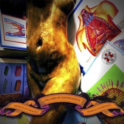MEDICAL ETYMOLOGY - Pillars Of Knowledge - CD