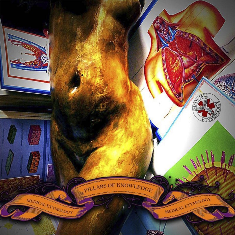 MEDICAL ETYMOLOGY - Pillars Of Knowledge - CD