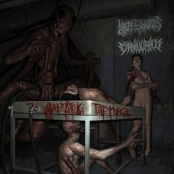 NASTY SURGEONS / CARNIVORACY - Infecting The Morgue - CD