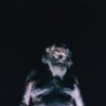 NOTHING - The Great Dismal - CD