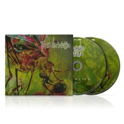 PSYCHOTIC WALTZ - Mosquito - DIGI 2CD
