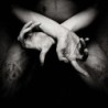 SHINING (SWE) - X - Varg Utan Flock - DIGI CD