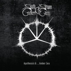 SILENT STREAM OF GODLESS ELEGY - Apotheosis & ... Amber Sea - LP