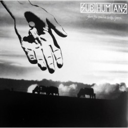 SUBHUMANS - From The Cradle To The Grave - RED LP