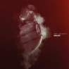 THE AMENTA - Revelator - CLEAR 2LP