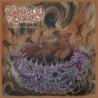 BASTARD GRAVE - Vortex Of Disgust - LP