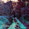 TIRESIA RAPTUS - Tiresia Raptus - LP