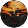 BATHORY - Twilight Of The Gods - PICDISC