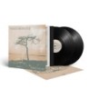VENUS PRINCIPLE - Stand In Your Light - 2LP