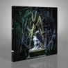 WITHERED - Verloren - DIGI CD