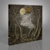 WOODS OF DESOLATION - As The Stars - DIGI CD