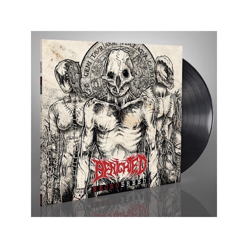 BENIGHTED - Necrobreed - LP