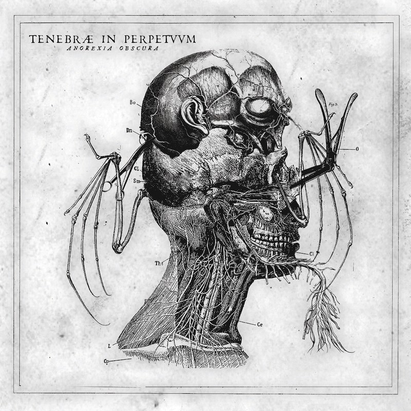 TENEBRAE IN PERPETUUM - Anorexia Obscura - DIGI CD