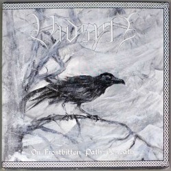 VIDSYN - On Frostbitten Path Beneath - 10“MLP