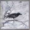 VIDSYN - On Frostbitten Path Beneath - 10“MLP