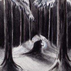 HAVUKRUUNU - Havulinnaan - DIGI CD