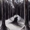 HAVUKRUUNU - Havulinnaan - DIGI CD