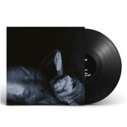 FLUISTERAARS - Dromers - LP