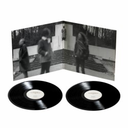 FLUISTERAARS - Manifestaties van de Ontworteling - 2LP
