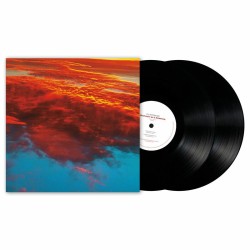 FLUISTERAARS - Manifestaties van de Ontworteling - 2LP